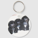 Search for toy poodle key rings Puppies