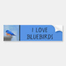 Search for paint bumper stickers Blue