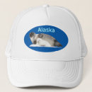 Search for seal hats Animals