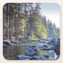 Search for sunrises coasters Forest