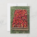 Search for strawberry note cards Berries