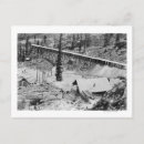 Search for gold mining postcards States