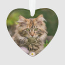 Search for maine coon christmas tree decorations Cute