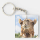 Search for camel key rings Nature