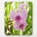 Search for orchid electronics Unique