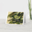 Search for warbler cards Wildlife
