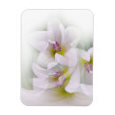Search for dance dance magnets White