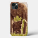Search for elephant picture cases Cute