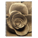 Search for old fashioned notebooks Antique