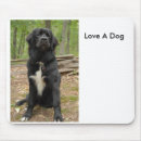 Search for newfoundland dog mousepads Puppy