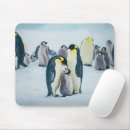 Search for emperor mousepads Young animal
