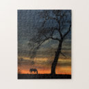 Search for horse puzzles Nature