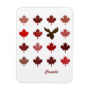 Search for maple leaf magnets Leaves