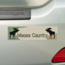 Search for deer hunter bumper stickers For him