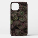 Search for maroon colour iphone cases Pink