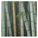 Search for bamboo plant tiles Asia