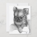 Search for chihuahua puppies postcards Dog lover