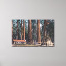 Search for big tree canvas prints Park