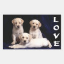 Search for white labrador puppy stickers Dog