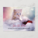 Search for christmas kitten postcards Orange cat