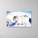 Search for herbivore art Sheep