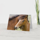 Search for colt cards Farm