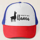 Search for llamas with hats tshirts Animal