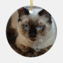 Search for funny dog christmas tree decorations Cat