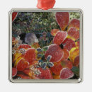 Search for close christmas tree decorations Leaf