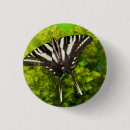 Search for north american badges Close up