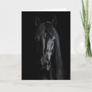 Search for horses cards Horse lover