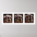 Search for funny camel art Humour