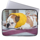 Search for getty electronics Dogs