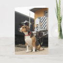 Search for handsome cards Dog