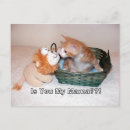 Search for mama postcards Cat
