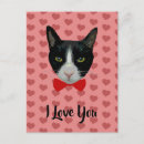Search for i love cats postcards Kitty