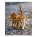 Search for funny friendship posters Animal