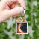 Search for voyager key rings Science