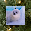 Search for baby seal christmas tree decorations Pup