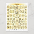 Search for engravings postcards Antique