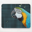 Search for macaws mousepads Wildlife