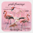 Search for flamingo pink stickers Exotic bird