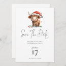 Search for cows christmas invitations Cute