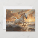 Search for galloping postcards Sunset
