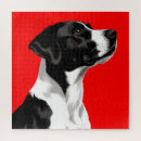 Search for red black white red puzzles Dog