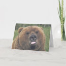 Search for tongue cards Photograph