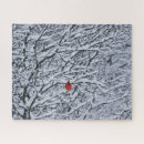 Search for big bird puzzles Red