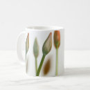 Search for slurp mugs Drink
