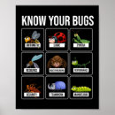 Search for codes posters Programmer