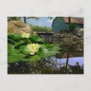 Search for lilie postcards Water